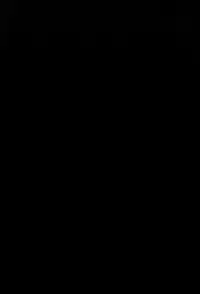 (C85) [A Gokuburi (sian)] Karin to ShiroNatsume (Pokémon, Kantai Collection -KanColle-) [English] {doujin-moe.us}