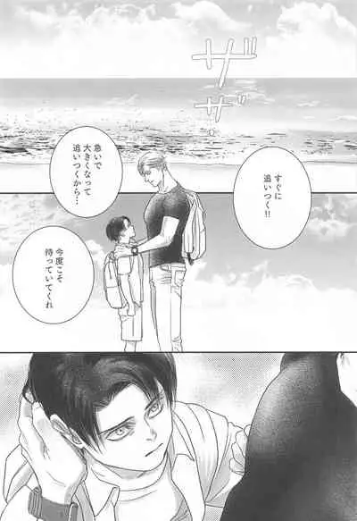 Summer Assortment Remake