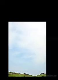 Missing Ch.1-12 (English) (Ongoing)