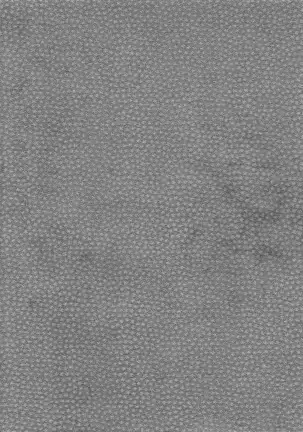 Kami GinGinGingitsune