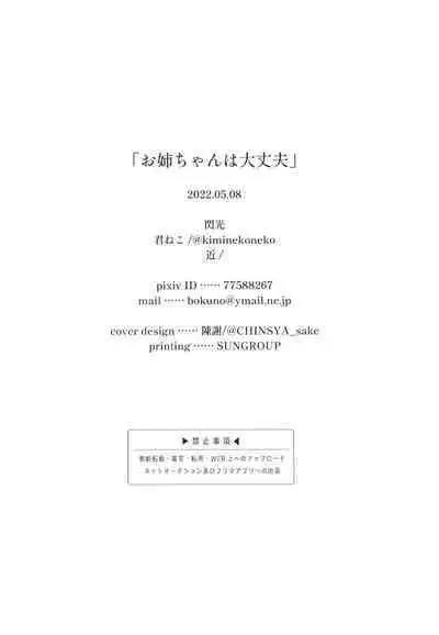 Onee-chan wa Daijoubu