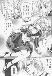 [Kotogi Raura] Xday Evolution