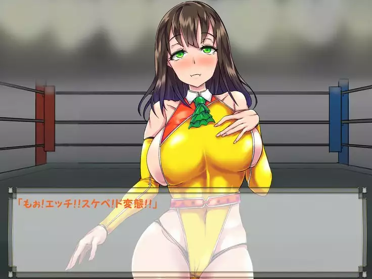 ドMプロレス2 画像集