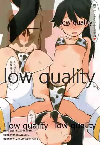 鳳翔さんだらけのオンリーマガジン「すてきな嫁さん」2019年版