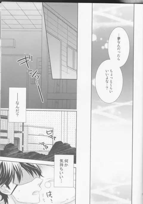 Shitsuren Metamorphose