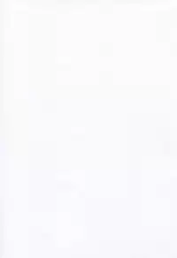 (C86) [S.S.L (Yanagi)] Rider-san to Tate Sweater. (Fate/hollow ataraxia) [Chinese] [脸肿汉化组]