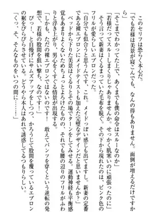 年上メイドの新婚日記