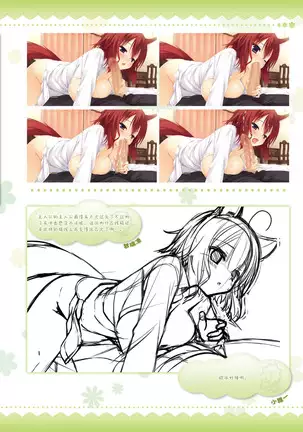 AMAIRO ISLENAUTS OFFICIAL VISUAL FAN BOOK