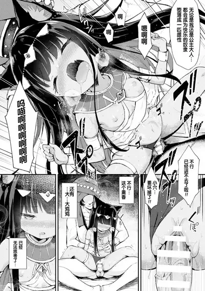 Nekohime Seisai Amira