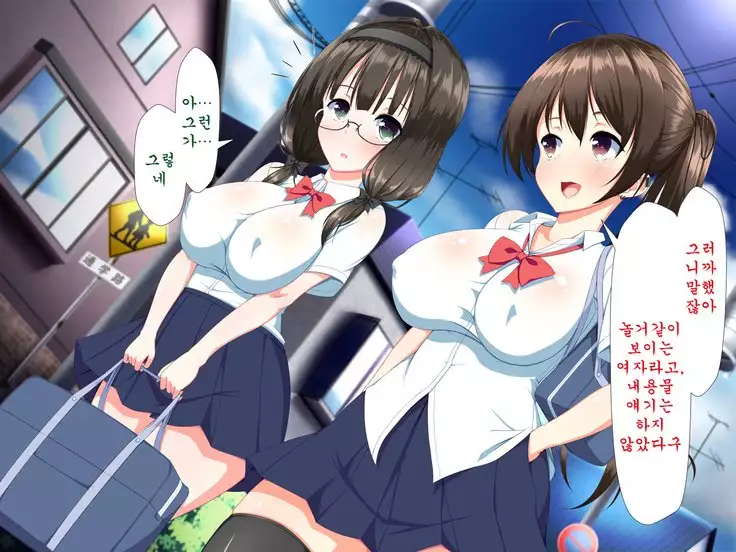 Inran Virus ~Seikoui wa Iryoukoui~ <팀 혼파망>