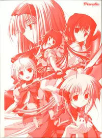 Primitive Link Visual Fanbook