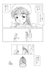 Solid State 'N' Wired - Amorica