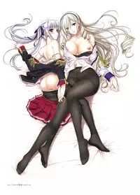 Walkure Romanze Visual Fan Book