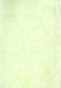 [Minor Boy] JUN-JYO Hoken Club