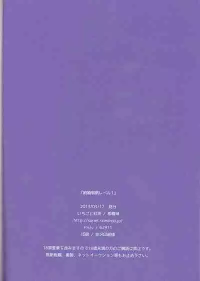 Kekkon Senryaku Level 1