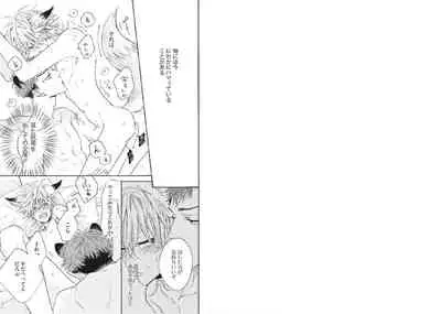 Kitsune-san, Bakashi Aishimasho!