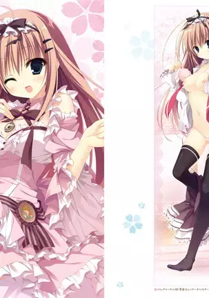 Majo Koi Nikki - Visual Fanbook