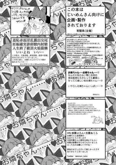 Iyarashi Orin-chan Goudou