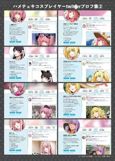 Cosplayer Hame Cheki Shuu:Soushuuhen