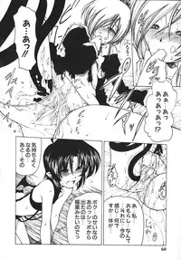 [Benjamin] Stray Sheep