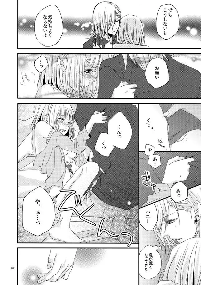 [OCELOT phalaenopsis