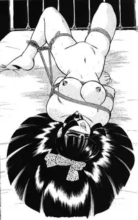 [Wingbird] Black and White