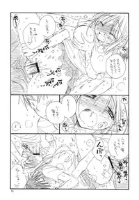 (C76) [TENKAICHI BABY'S (Inomoto Rikako, BENNY'S)] Tsurukko
