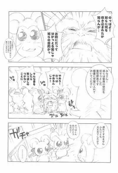 BATTLE FOR THE PLANET OF THE HAMS