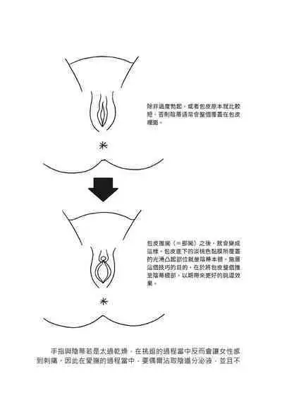 豆豆攻略！圖解陰蒂愛撫･高潮完全指南