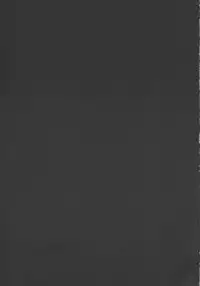 (C63) [CYCLONE (Izumi, Reizei)] Centris (Magic Knight Rayearth)