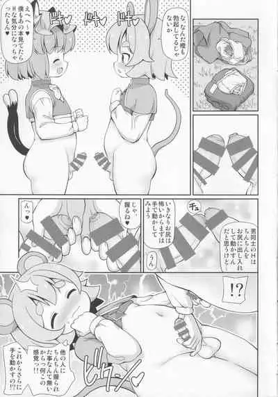 Nezumi to Asobu Neko