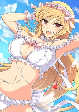 Master Ninja Senran Kagura NEW LINK