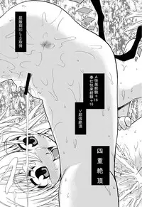 (C75) [Yuki Kagerou (KANZUME)] EraKatta ne! Fran-chan! (Touhou Project)