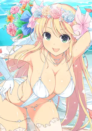 Master Ninja Senran Kagura NEW LINK