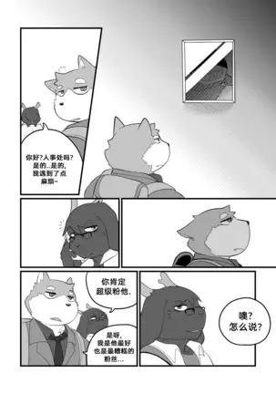 Killer Whale & Niterite 3