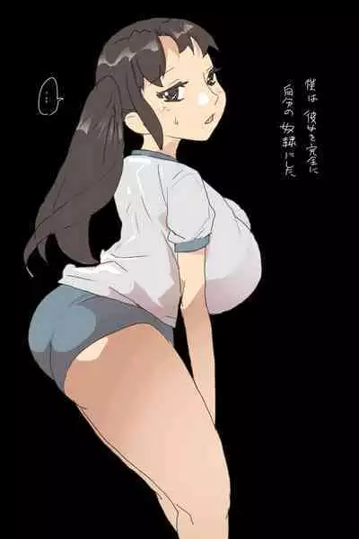 Sの事情 : 巨乳なJKと車内で遭遇するお話