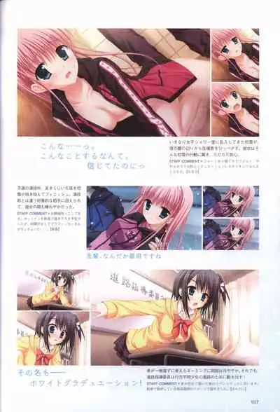 Hatsuyuki Sakura Visual Fanbook