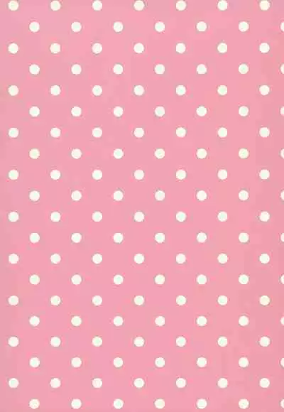 Nozomu Nozomi Vol. 2