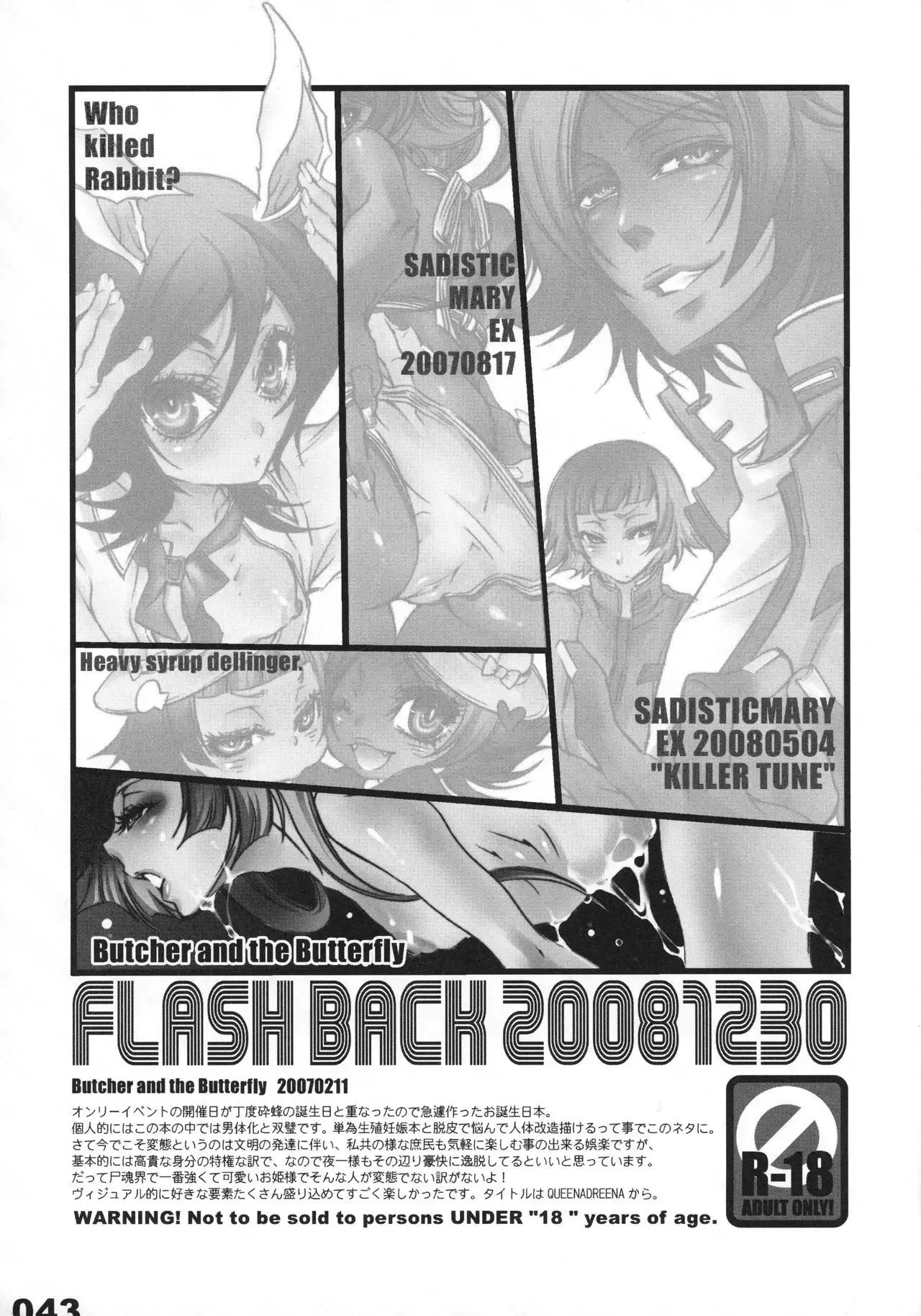 FLASH BACK 20081230