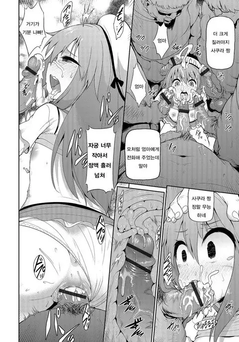 Sakura channi haruga kita