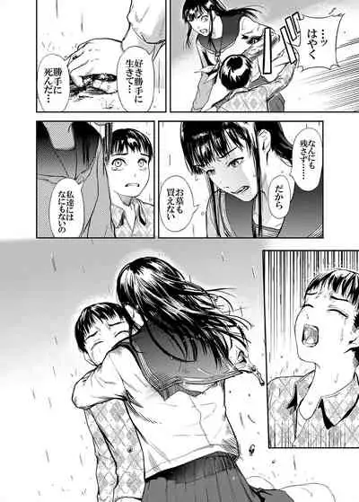 Kamen no Carnation 3