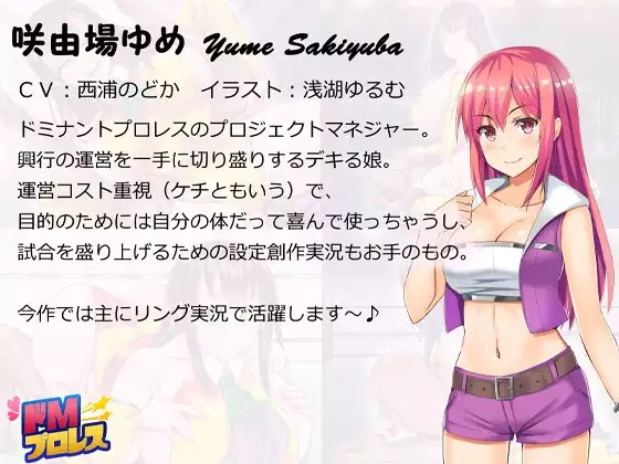 ドMプロレス2 画像集