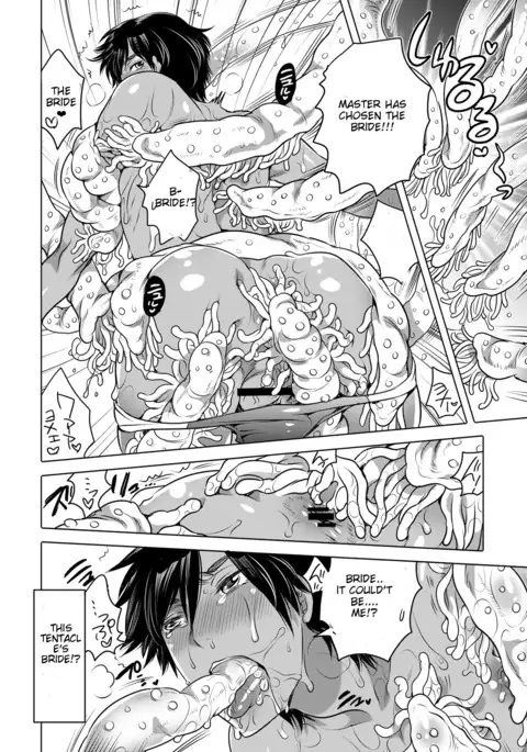 Nushi-sama no Yome ni Nacchaimashita