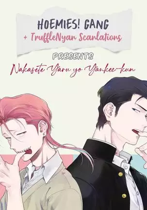 Nakasete Yaru yo Yankee-kun | I'll Make You Cry Ch. 1-5