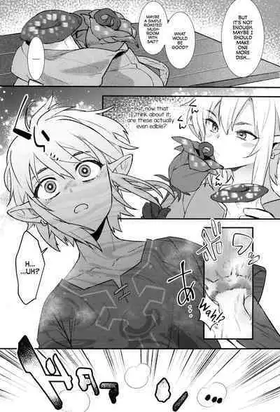 (C102) [Ash wing (Makuro)] Konran Yuusha | The Legend of Link: Skyward 