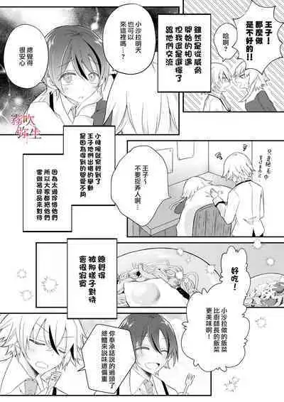 Dekiai Kei Yandere Kyoudai Ouji wa Itoshi no Shinkan Mazoku Ochi Sasetai | 溺愛係病嬌王子兄弟想讓心愛的神官墮落成魔族