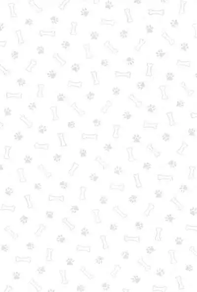 Kawaii Inu no Shitsukekata