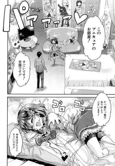 Lolicchau? Pakocchau?