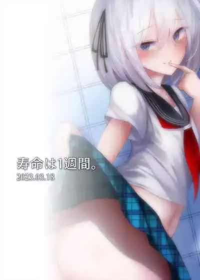 Boku, Onnanoko da to wa Ittenai desu yo? | boku, 可从来没说过我是女孩子哦?