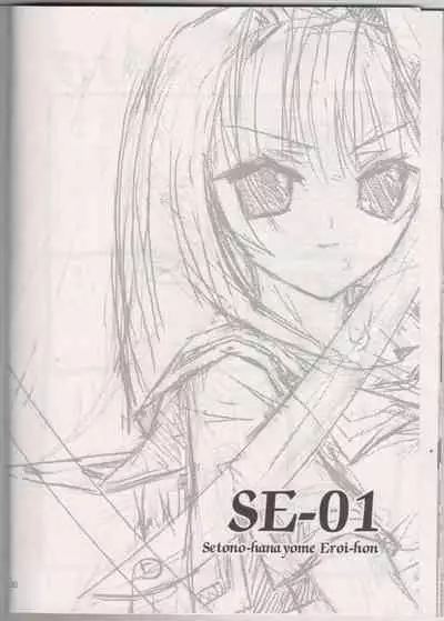 SE-01